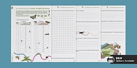 Eighth Grade Graph Linear Functions Using a Table of Values Practice
