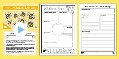 All About Bees Worksheet