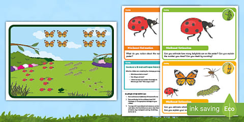 EYFS Maths: Many Minibeasts Estimation Whole Class Adult Input Plan and ...
