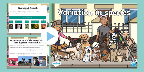 Grade 7 Life and Living Lesson Plan - Variations in Species