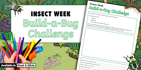 Design a Minibeast Hotel Colour, Cut and Stick Worksheet