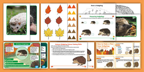 Hedgehog Conservation Fact File - Hedgehog Awareness Week