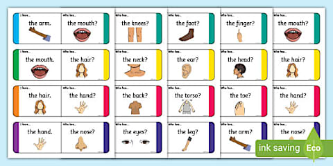All About Me Body Parts Scavenger Hunt