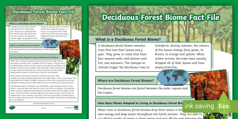 Aquatic Biome Fact File