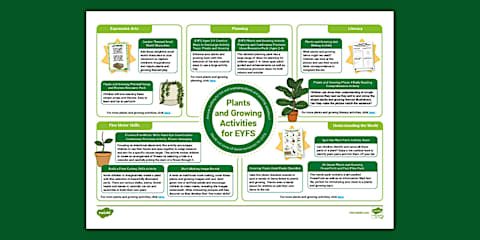 EYFS Plant Detectives Adult Input Plan and Resource Pack