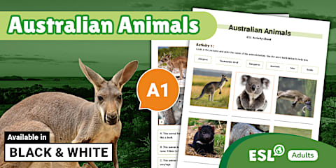 ESL Present Continuous for Talking About the Future Activity Sheet ...