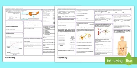 AQA GCSE Homeostasis and Response Multiple Choice Quiz PowerPoint