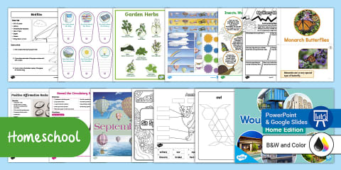 Weekly Homeschool Schedules With Daily Themes