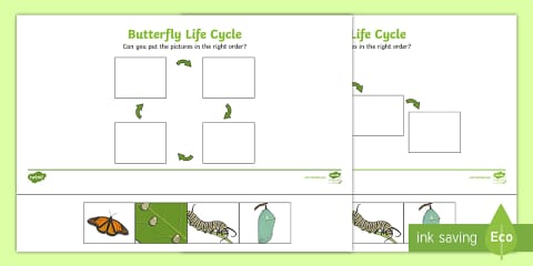 Butterfly Folding Life Stages Template
