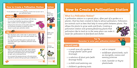 Early Years (EYFS) Bee and Pollination Science Experiment Activity