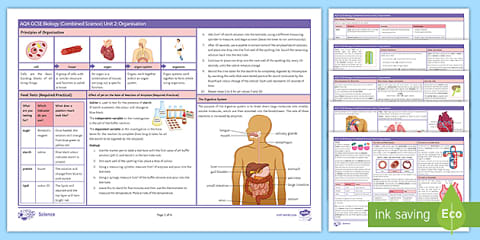 AQA Biology (Separate) GCSE Unit 2 Organisation Revision Mat Higher
