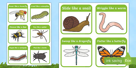 EYFS Minibeast Movement Activity Adult Input Plan and Resource Pack ...