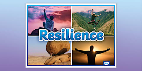 Resilience Display Pack