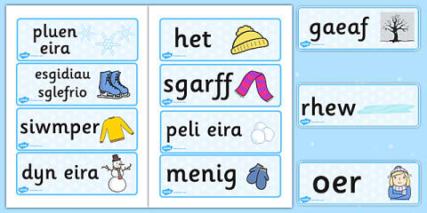 Early Level Winter CfE IDL Topic Web