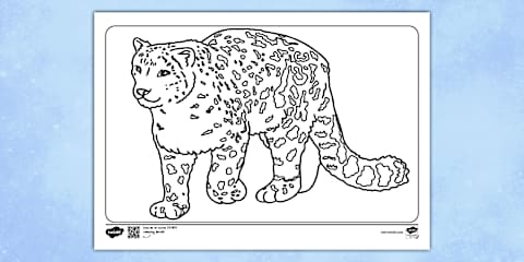 KS1 Snow Leopard Fact File