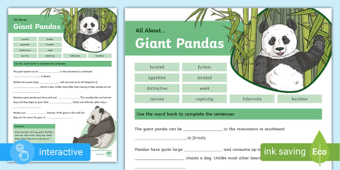 Giant Panda Fact File Template
