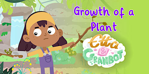 Why Do Plants Have Roots? Discussion Starter with Etta & Granbot Animation