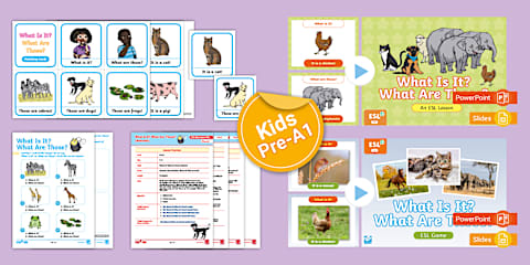 ESL My Favourite Toys Lesson Plan Pack [Kids, Pre-A1]