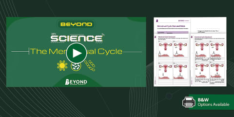 KS3 Menstrual Cycle Graph Worksheet
