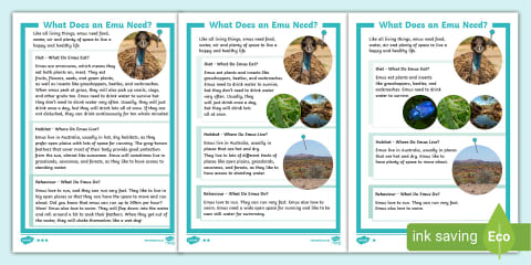 Emu Fact Sheet