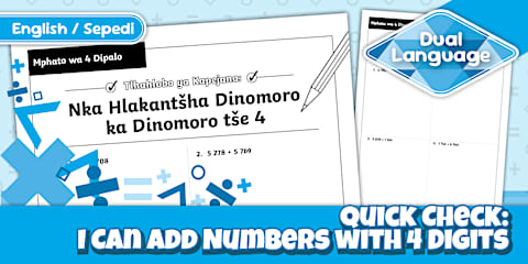 How to Convert Mixed Number Fractions to Common Fractions: Activity ...