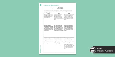 Parts of a Light Microscope Labelling Worksheet