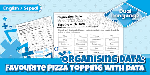 Grade 4 Maths - Term 1 - Collecting and Organising Data: Favourite ...