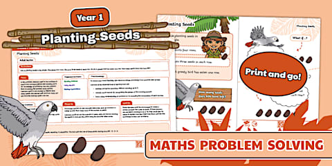 Maths Problem Solving: Year 1: Path Patterns