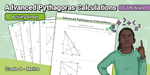 Grade 8 Maths Assignment Term 3