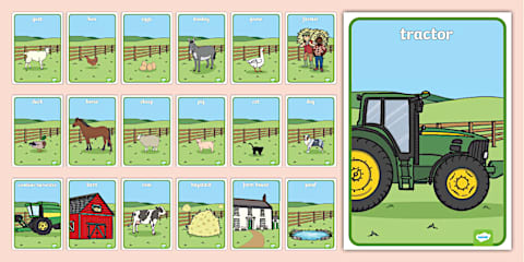 The Farm Aistear Display Pack