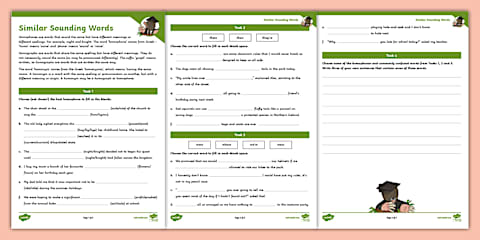 Synonyms and Homonyms Activity Sheets
