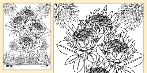 Foundation Phase - Life Skills Creative Arts - King Protea Pixel Art ...