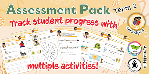 Grade 2 Phonics - Term 4 - Termly Assessment - Activity Pack (CAPS Aligned)