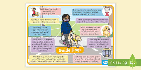 How to Behave around a Guide Dog - Display Poster