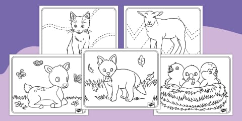 Spring Animals and Their Young Trace and Color Worksheet