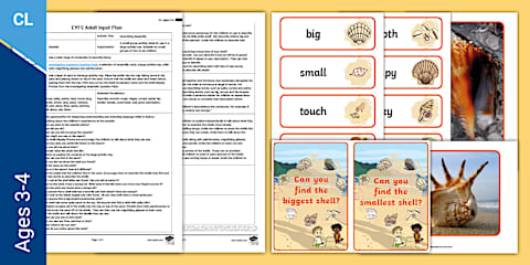 EYFS Build a Sunflower Adult Input Plan and Resource Pack