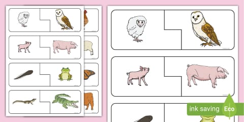 Spring Animals and Their Babies Sorting Worksheet