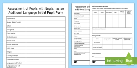 EAL Lead Action Plan Template