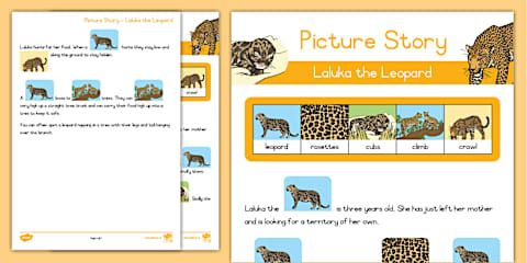 Foundation Phase Phonics - ea Decodable Readers - Fluency Pyramids: A ...