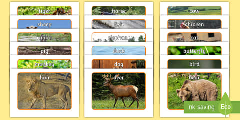 Zoo Animal Sounds Display Poster