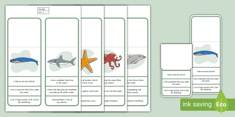 Guess Which Marine Animal Board Game - Earth Day