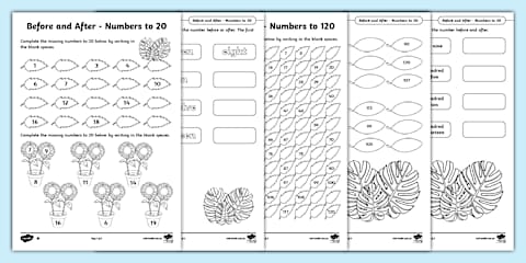 One More One Less Number Worksheet