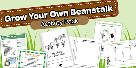 Grow a Bean in a Bag EYLF Science Experiment and Prompt Card Pack