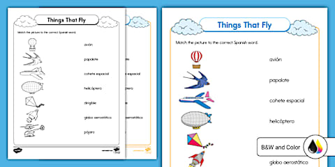 ESL Things That Fly Activity Sheet [Kids, A1]