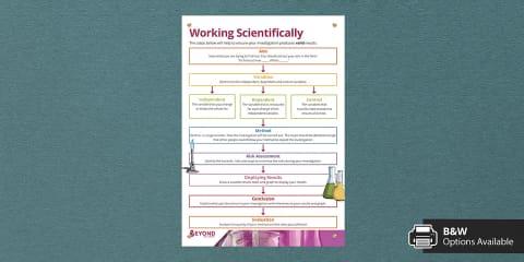 Working Scientifically Glossary