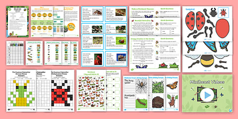 Octopus Activity Pack