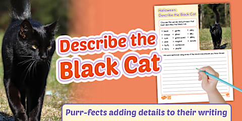 Who Stole the Pumpkin? Story Sequencing Strips Worksheet