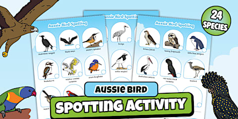 Aussie Bird Count Week: I Saw a Bird Checklist