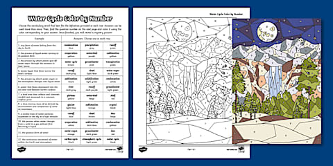 Sixth Grade Nitrogen Cycle Color by Number
