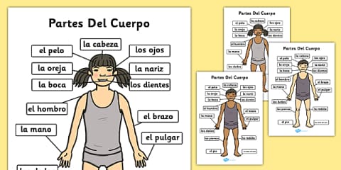 Spanish Parts of the Body Word Mat - spanish, body, parts, word